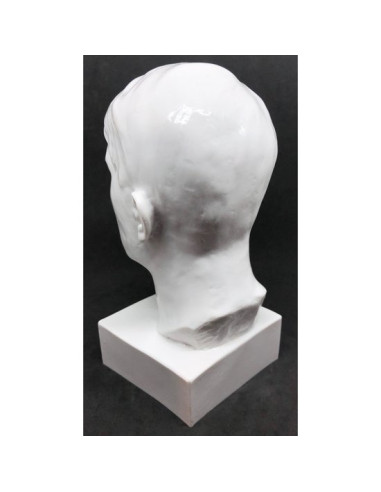 Adolf Hitler head bust