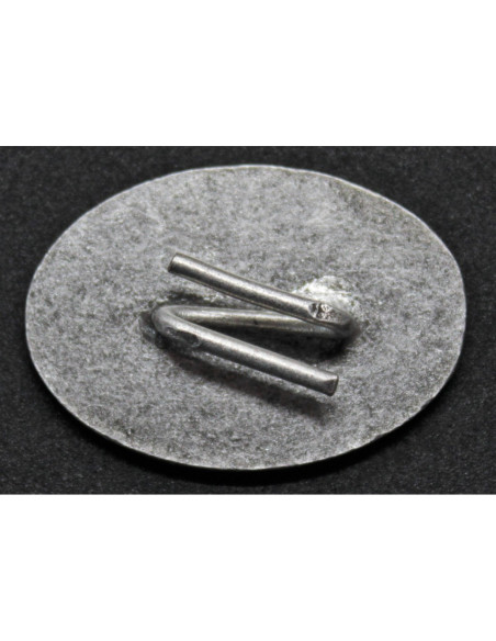 Windhund 116th Panzer Division pet badge