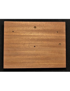 aigle peinture murale NSDAP 2