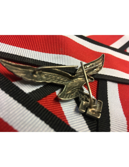 DAK metalen helm badge