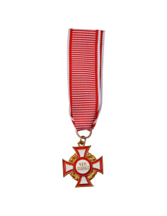 Oosterijk-Hongarije dienst medaille
