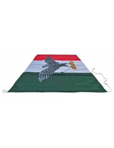 Drapeau de la république sociale italienne en...
