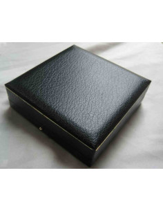 Display case for badge