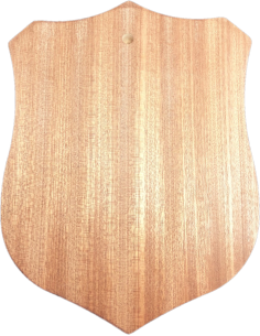 Wooden shield for wall or door decorations 2