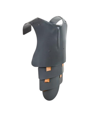 Grabenpanzer Gilet pare-balles de l'armée...