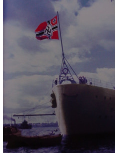 Reichskriegsfahne extra groot polyester 2