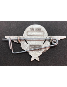 Vreemdelingenlegioen parachutisten badge 2