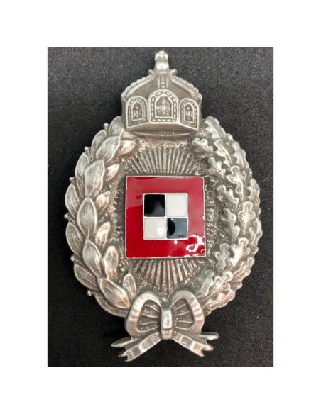 Vliegtuig observatie officiers badge