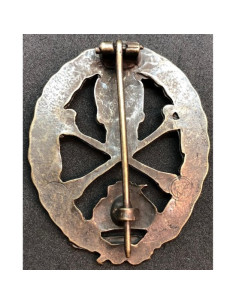 Panzer sturmtruppe WW1 badges 2