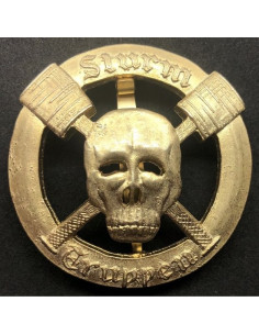 or badge sturmtruppen