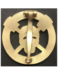 or badge sturmtruppen 2
