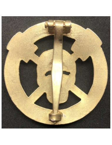 or badge sturmtruppen