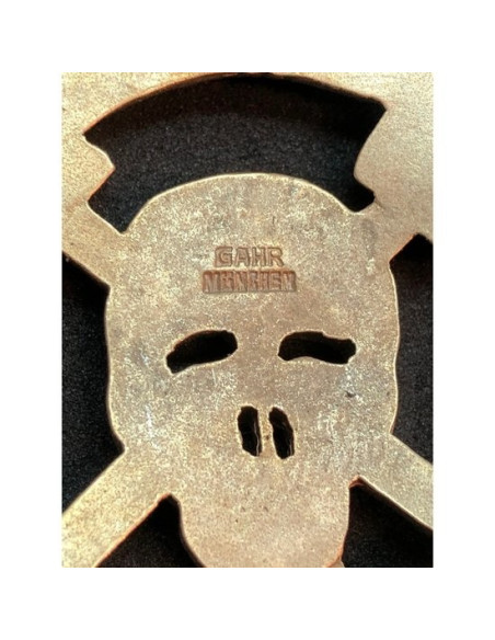 or badge sturmtruppen