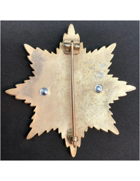 Grote kruis 1870 ster broche