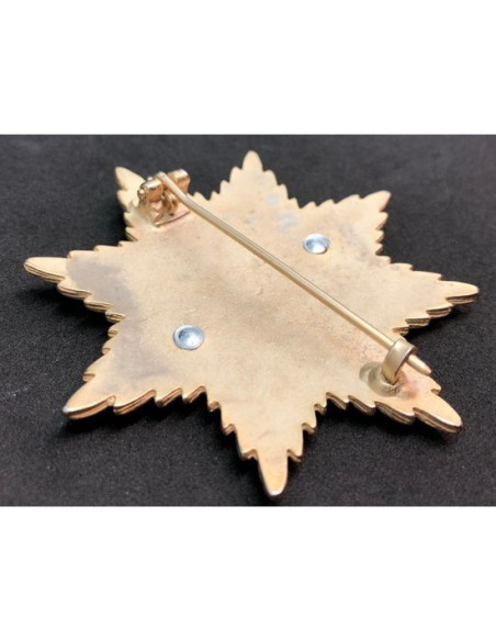 Grote kruis 1870 ster broche