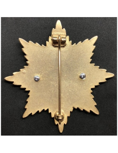 Grande croix 1914 (Hindenburg) Broche étoile