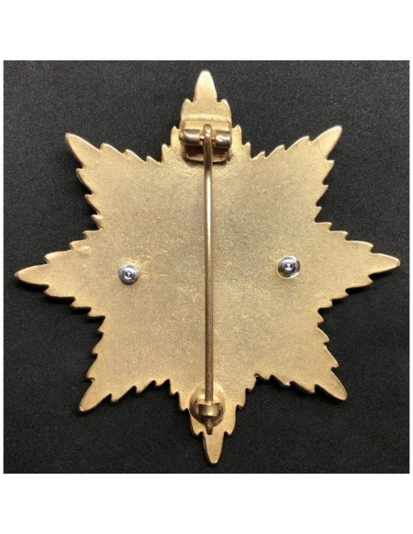 Grande croix 1914 (Hindenburg) Broche étoile