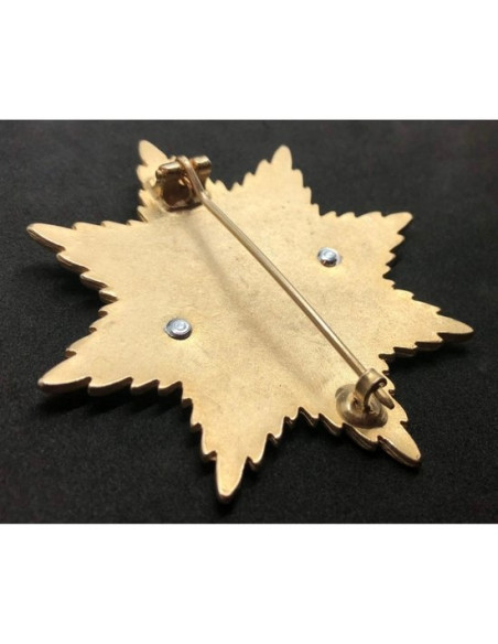 Grote kruis 1914 (Hindenburg) ster broche